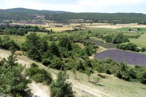 Vue depuis le Lares - gite - domaine la melette0119.JPG