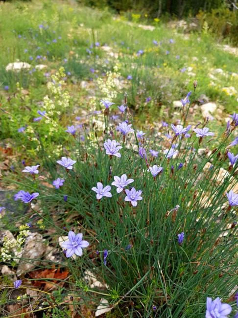 gite la melette luberon (34).jpg