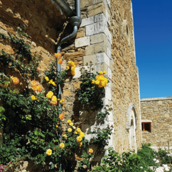 L'Abbaye de Valsaintes