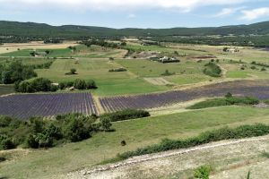 Vue depuis le gite le Lares  domaine la melette Simiane la Rotonde118.JPG