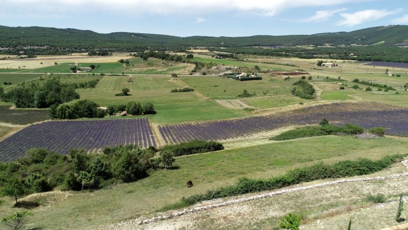 Vue depuis le gite le Lares  domaine la melette Simiane la Rotonde118.JPG