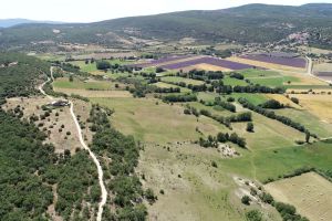 Accès domaine la Melette et Simiane la Rotonde 0125.JPG