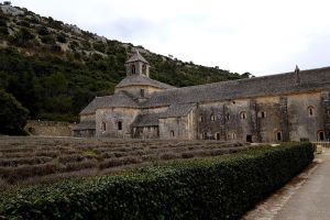 abbaye senanque (2).jpg