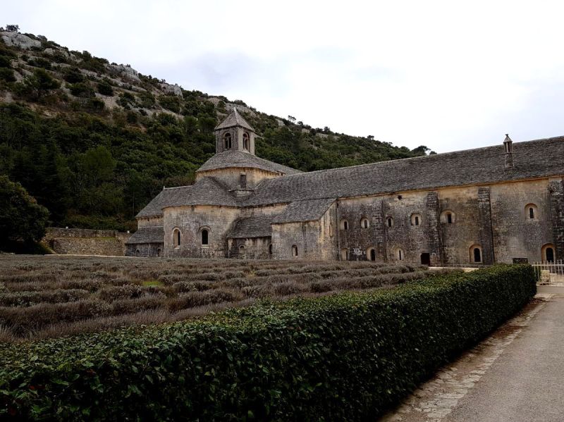 abbaye senanque (2).jpg